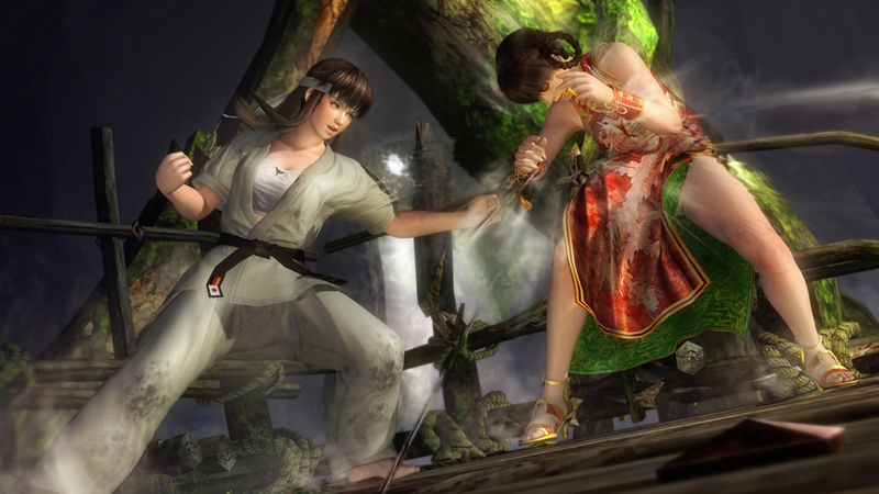 Illustration for article titled Let's Get Down and Dirty with New Dead or Alive 5 Screens
